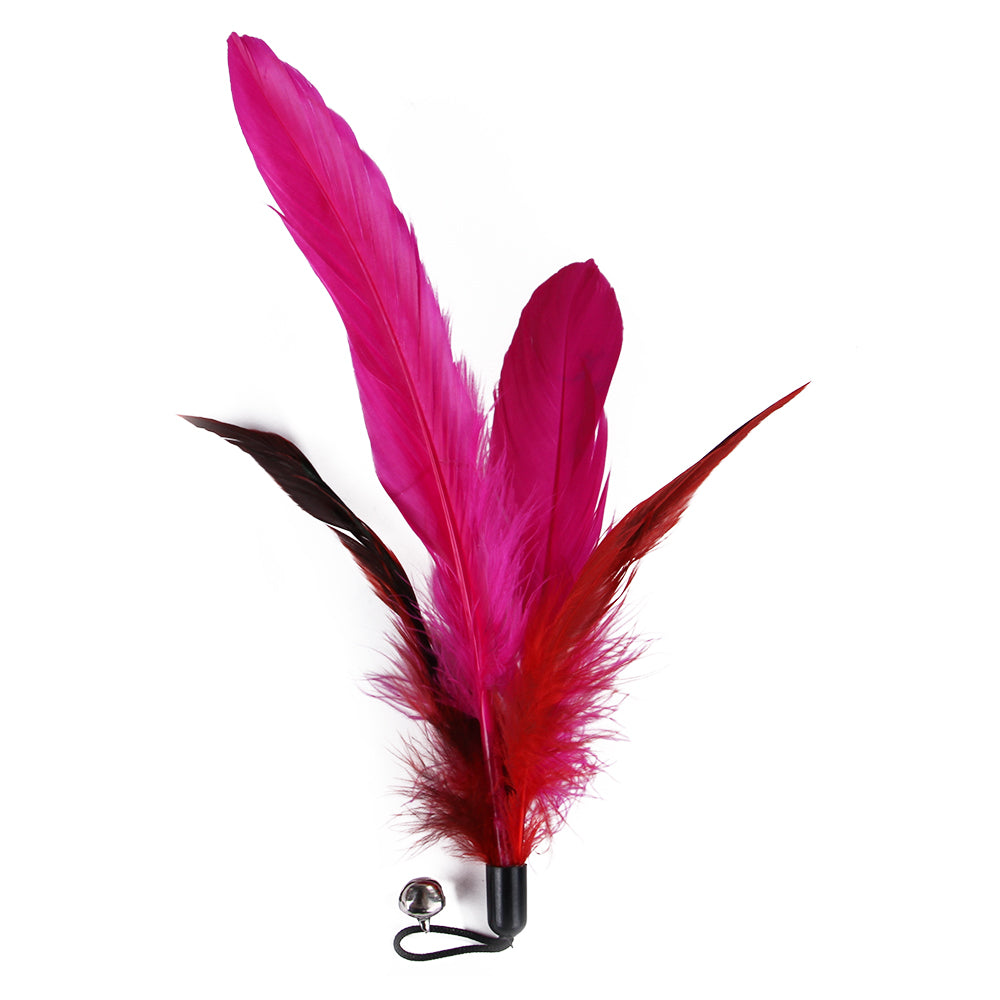 Cat Feather Toy Set – Gems for Pets